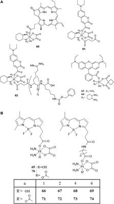 Ligand Evolution in the Photoactivatable Platinum(IV) Anticancer Prodrugs